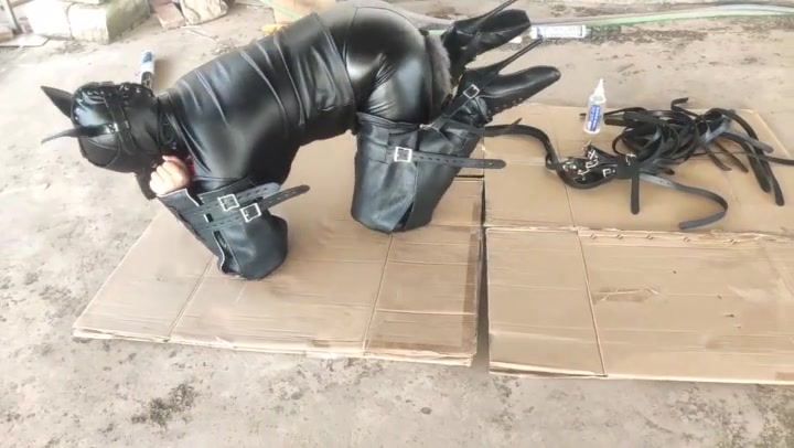 曼陀罗 屋顶遛狗还是皮具拘束风格 Preview 4