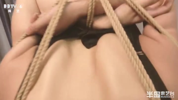 半岛束艺台_千千驷马悬吊 Preview 4