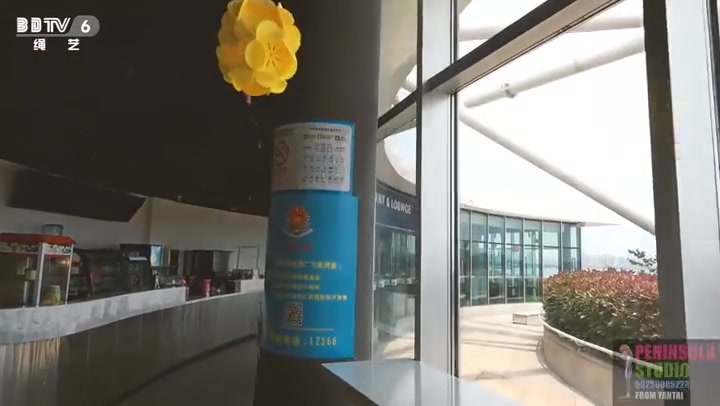 半岛束艺台_疯狂的摩天轮 桃子 摩天轮上的捆绑+广场热舞 Preview 1