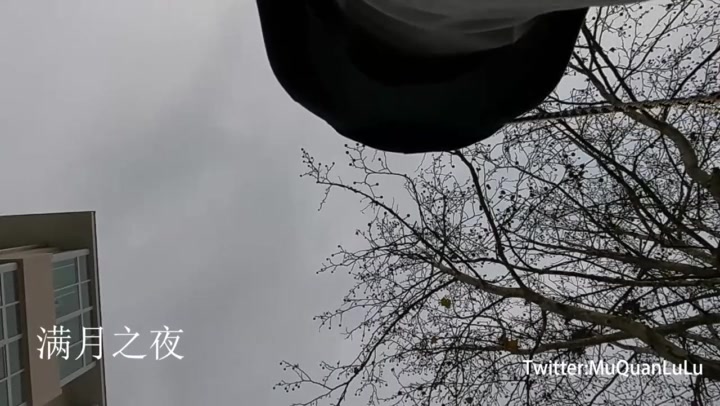 满月之夜 青岛大学校园之行. Preview 2
