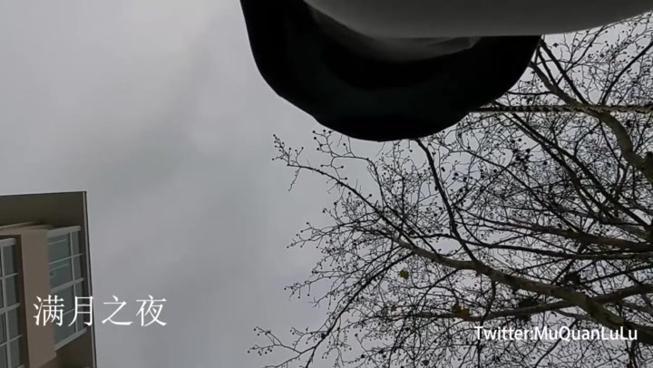 满月之夜 青岛大学校园之行. Preview 3
