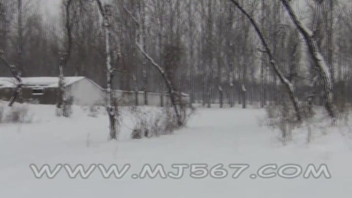 MJ影视_雪域情缘 Preview 4