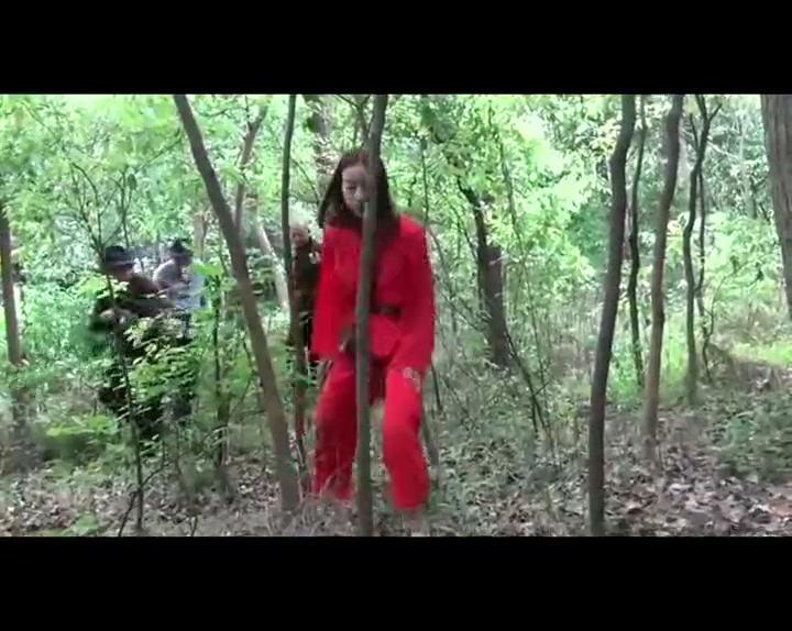 霜天红叶 Preview 1