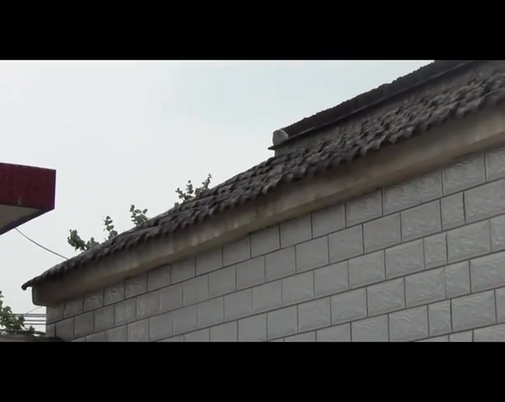 霜天红叶 Preview 2