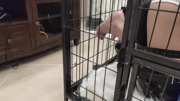 夜未央 小萝莉婉婉之初调教（下集） 人形犬 带尾巴的小母狗 ，进行各种犬化训练 狗盆喝奶 溜狗牵引 紧缚强高 狗笼囚禁 Preview 3