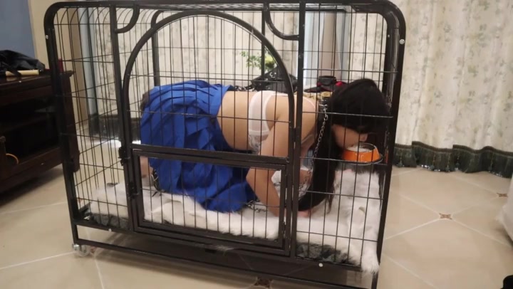 夜未央 小萝莉婉婉之初调教（下集） 人形犬 带尾巴的小母狗 ，进行各种犬化训练 狗盆喝奶 溜狗牵引 紧缚强高 狗笼囚禁 Preview 4