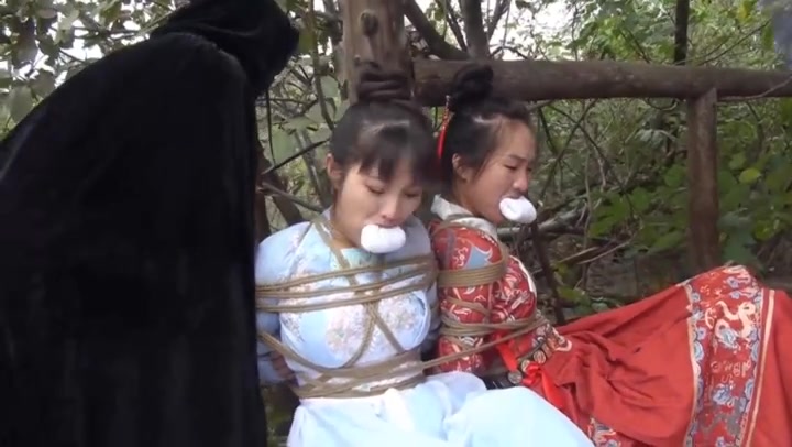 雅俗阁 女神捕之荡寇风云（上） Preview 2
