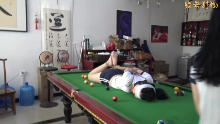 球桌上的驷马宠物 Preview 2