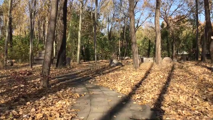 丽佳美苑 定拍盗林惯犯之旧照片（淼淼试镜：制服,捆绑,丝足,打斗,迷晕,胶带封嘴） Preview 1