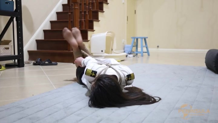 实现愿望的钢笔1 Preview 1