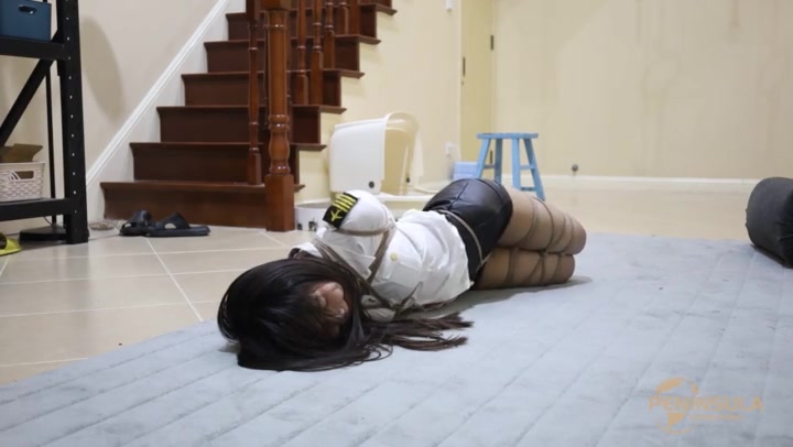 实现愿望的钢笔1 Preview 2