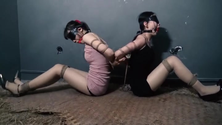 胜景影视 连续剧落难姐妹（第十一集） Preview 1