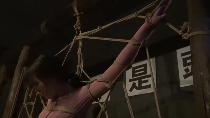 胜景影视 蜘蛛网上的猎物（下集） Preview 4