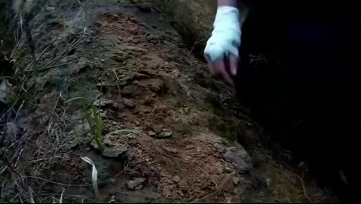 胜景山庄_白日森林 Preview 1