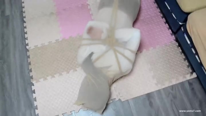 得意客 定制被包裹的美人！（全包全包） Preview 2