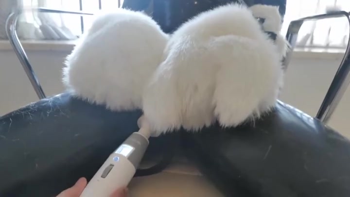 小萌同学 latex小猫咪，乳胶兽装GC，防毒面具的惩罚 Preview 1