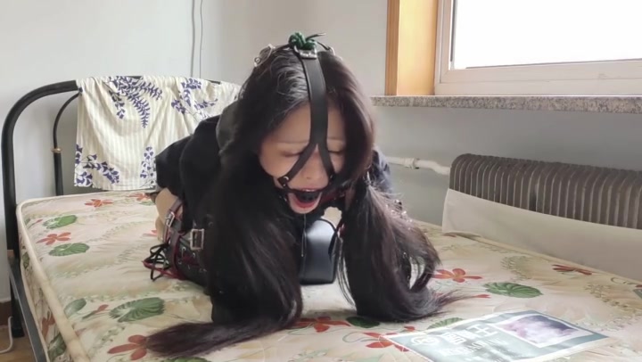 玩奴原创 可爱人形犬诺诺TJ，马具口球堵嘴，小舔犬口水收集玩弄，爬行训练 Preview 1