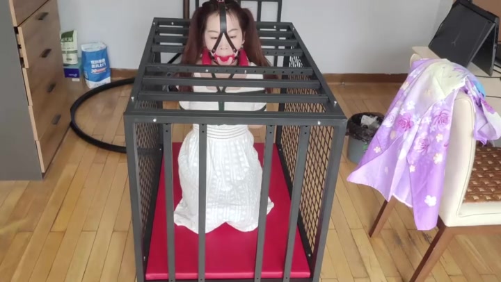 玩奴原创 白裙妹子珊珊的铁笼跪缚，金属棒固定身体与头部，鼻钩马具口球联动！ Preview 1