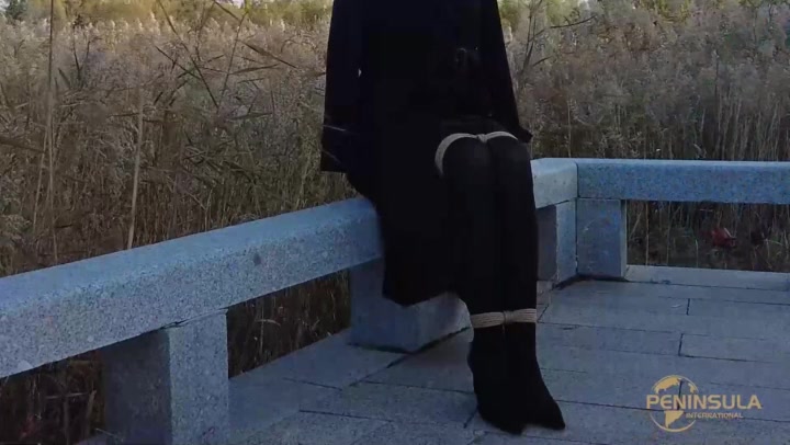 半岛束艺 秋天的芦苇 Preview 1