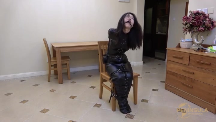 布偶警卫 Preview 3