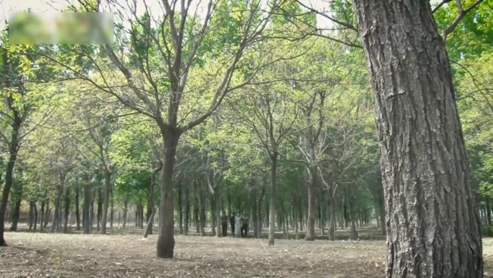 怀旧影视 去影 下 Preview 3