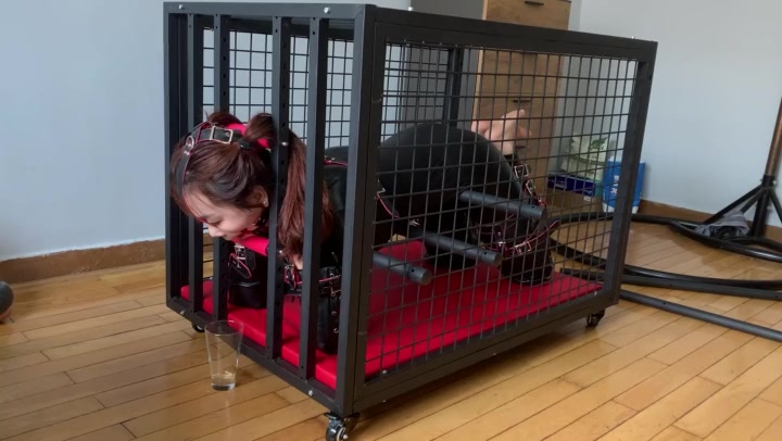 玩奴原创 人形犬之铁笼囚禁！胶衣马具口球收集口水，sptk！妹子被关麻了！ Preview 3