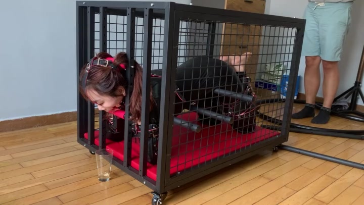 玩奴原创 人形犬之铁笼囚禁！胶衣马具口球收集口水，sptk！妹子被关麻了！ Preview 4