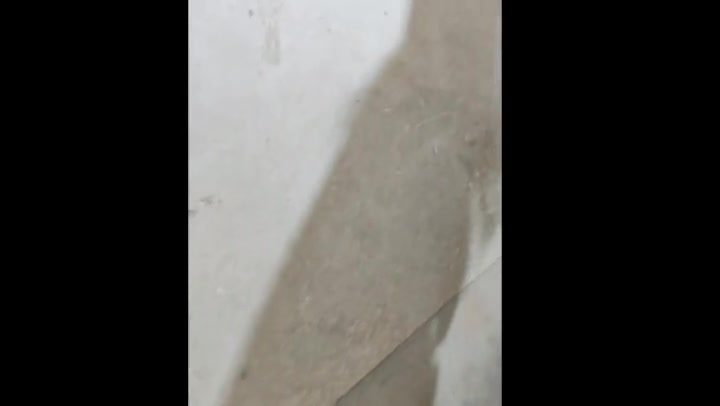 给洋洋安排了一个新的拍摄场地，女犯洋洋给大家详细介绍了她关押的地方，和关押时发生的事 Preview 1