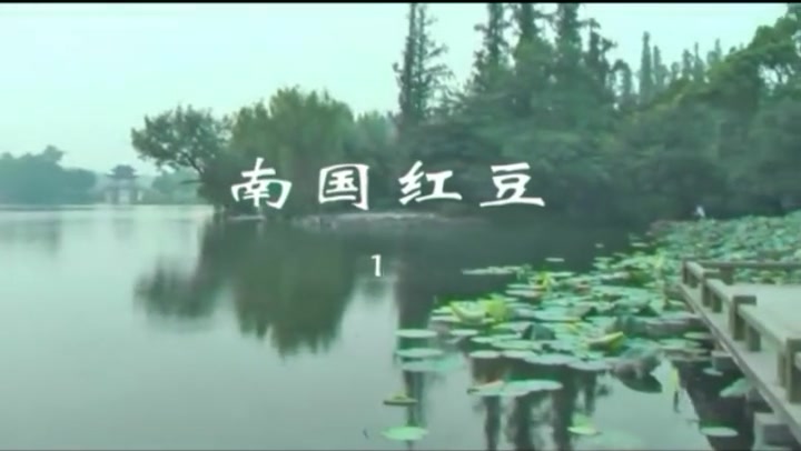 红豆天空 南国红豆（1） Preview 1