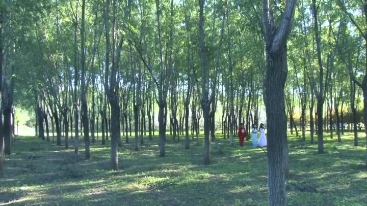 怀旧影苑 古装定制剧神捕之江南烟云（上） 三大美女颜值演技均在线. Preview 2