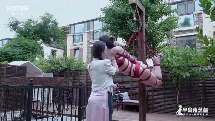 半岛束艺 绞刑架下的报告（下）海语 Preview 2