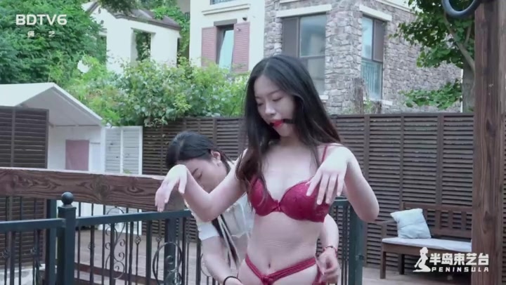半岛束艺 绞刑架下的报告（下）海语 Preview 4