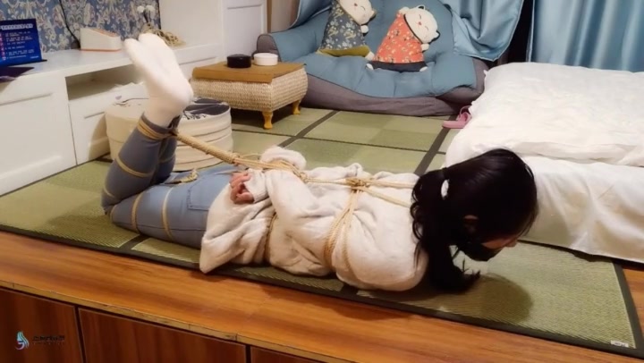 JS原创 教师劫2 Preview 3