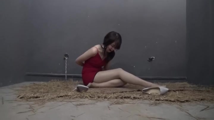 胜景影视 Sarah特工（下集） Preview 1