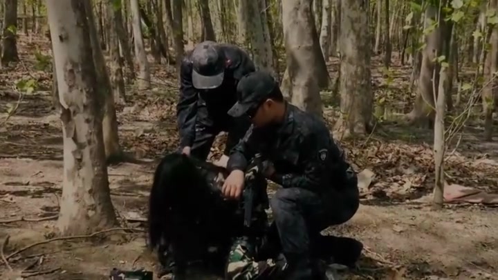 胜景影视 猎毒行动（上） Preview 1