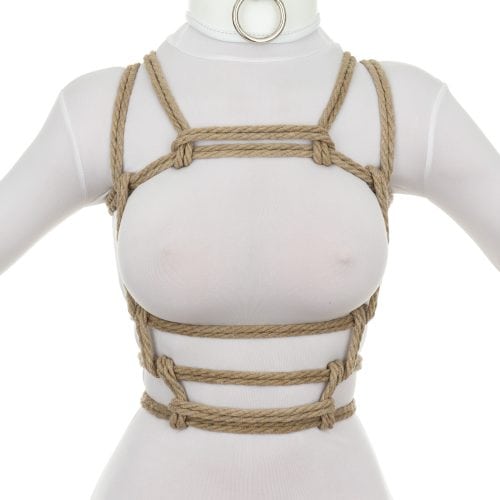 Barre Harness