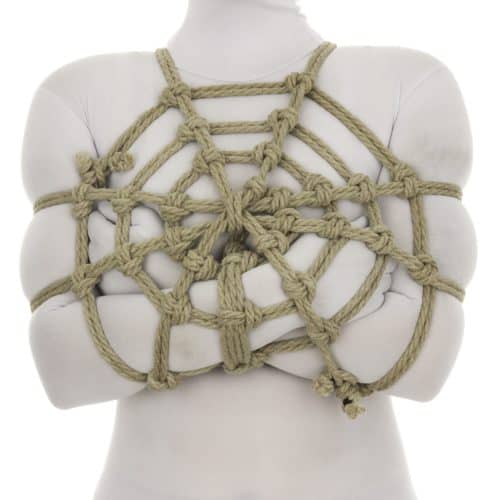 Spider Web – Core